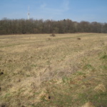 Naturkundliche Abendwanderung Duloh