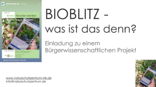 BIOBLITZ-was_ist_das_denn-01
