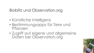 BIOBLITZ-was_ist_das_denn-02