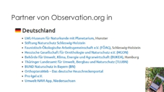 BIOBLITZ-was_ist_das_denn-04