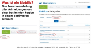 BIOBLITZ-was_ist_das_denn-08
