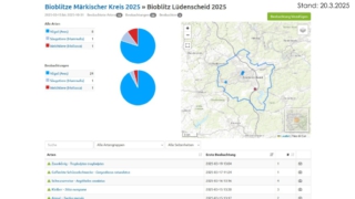 BIOBLITZ-was_ist_das_denn-10