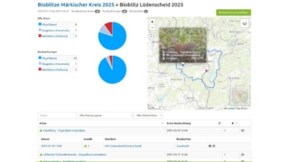 BIOBLITZ-was_ist_das_denn-11