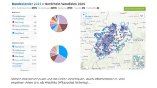 BIOBLITZ-was_ist_das_denn-13