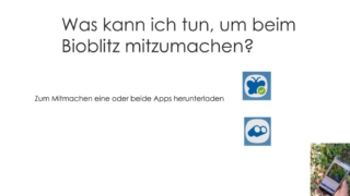 BIOBLITZ-was_ist_das_denn-14