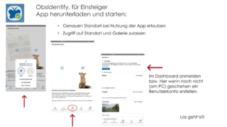 BIOBLITZ-was_ist_das_denn-15