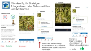 BIOBLITZ-was_ist_das_denn-16