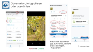 BIOBLITZ-was_ist_das_denn-19