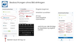 BIOBLITZ-was_ist_das_denn-20