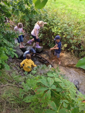 PXL_20220801_122158003