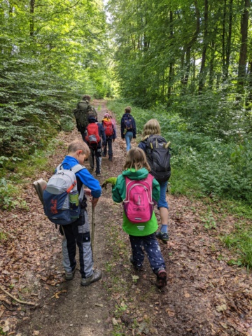 PXL_20230726_093946516