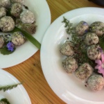 2026-30 Workshop - Wildkräuter entdecken & genießen - Kochen mit Wildkräutern