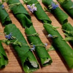 2026-15 Workshop - Wildkräuter entdecken & genießen - Das Oster-/Frühlings-Wildkräutermenü